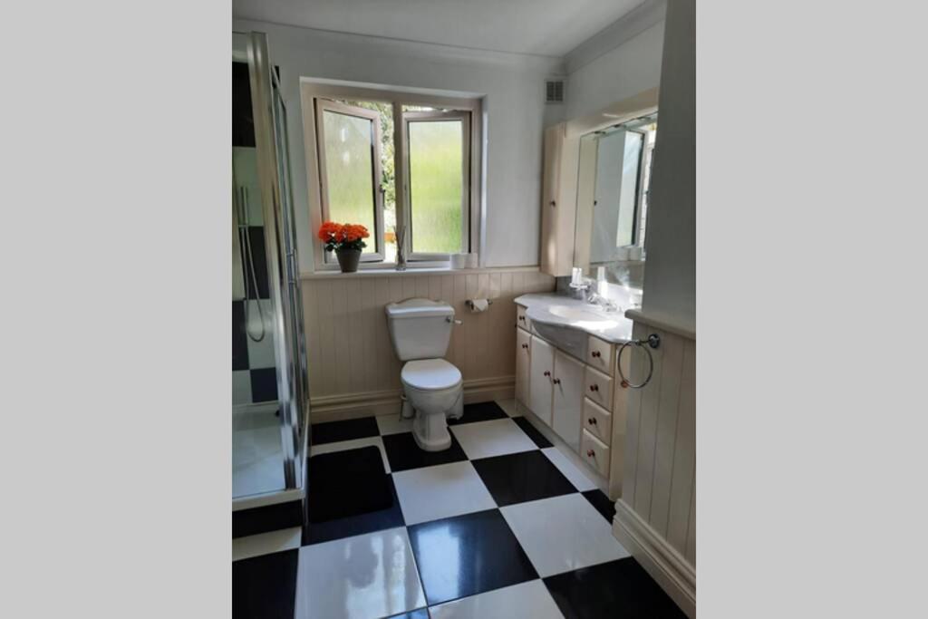 Green Garden Meets Blue Sea For 2 People Dingle Extérieur photo