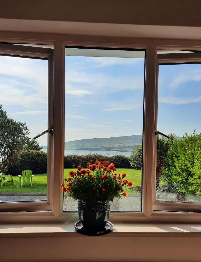 Green Garden Meets Blue Sea For 2 People Dingle Extérieur photo