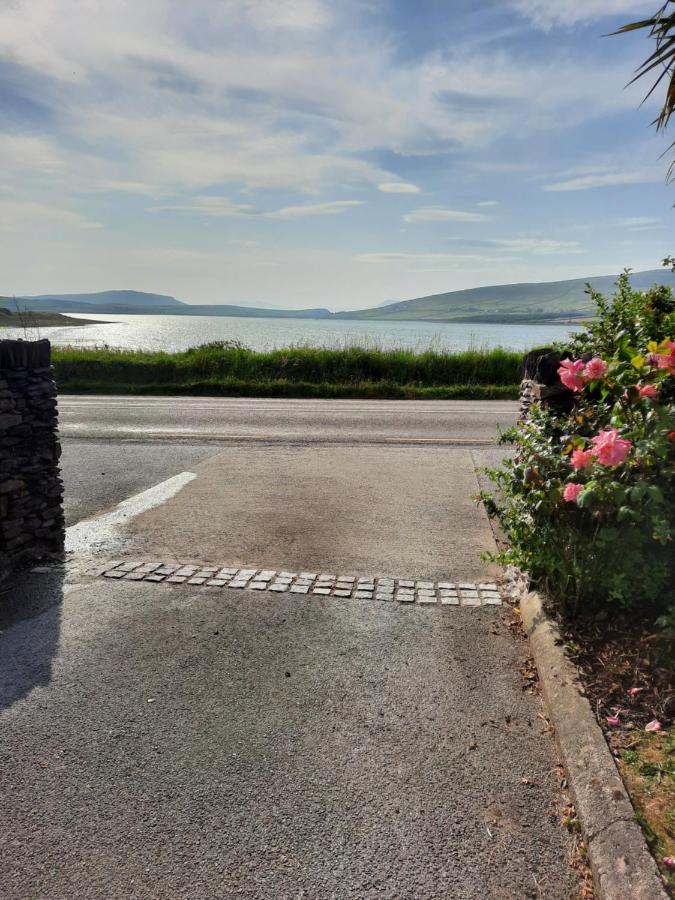 Green Garden Meets Blue Sea For 2 People Dingle Extérieur photo